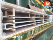 ASTM B444 Inconel 625 SMLS U BEND TUBE Nickel Alloy Pipe 25.4X2.11(M/W)*4900MM for Oil and Gas Marine