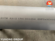 ASTM A312 UNS S31254, 254SMO لوله بدون درز از فولاد ضد زنگ دوگانه برای کارخانه های نفت و گاز