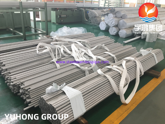 ASME SA213 TP310S 1.4845 لوله مبادله گرما بدون درز از فولاد ضد زنگ