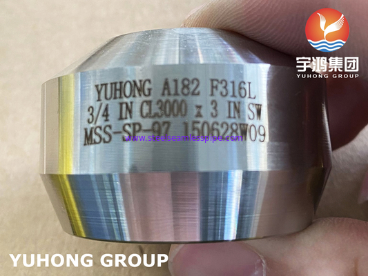 SS Weldolet A182 F316 / F316L خروجی فولادی فولادی