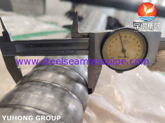 ASTM A213 TP310S لوله های فولادی نطفه / لوله های مبادله گرما CSST