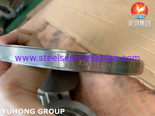 B16.48 ASTM A182 F316L عینک های فولادی ضد زنگ