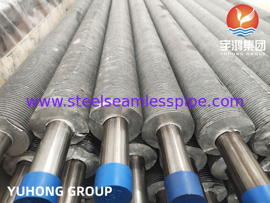 ASTM A269 TP304L لوله فلزی فولاد ضد زنگ برای کلدرها