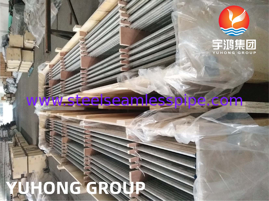 ASME SA213 TP904L UNS NO8904 لوله خم U فولاد ضد زنگ 19.05MM X 1.65MM برای مبادله گرما