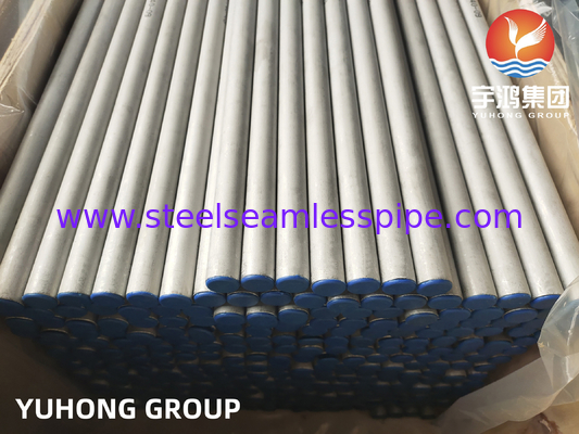 ASTM A213/ ASME SA213 TP317/ TP317L/TP317LMN لوله بدون درز از فولاد ضد زنگ