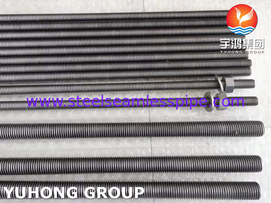 گاسکت مغز تیتانیوم درجه 2 ASTM B348