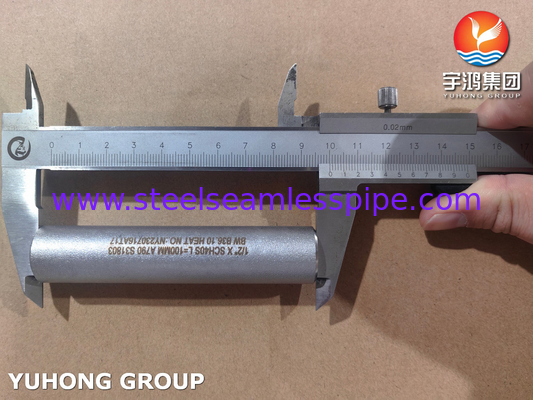 ASME B36.10 لوله پستان ASTM A790 UNS S31803 پستان فولادی دوگانه بدون سلسله