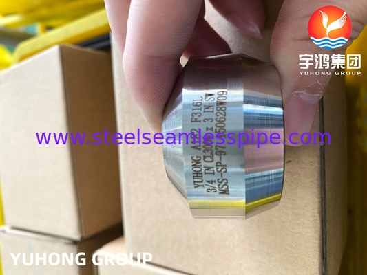 SS Weldolet A182 F316 / F316L خروجی فولادی فولادی