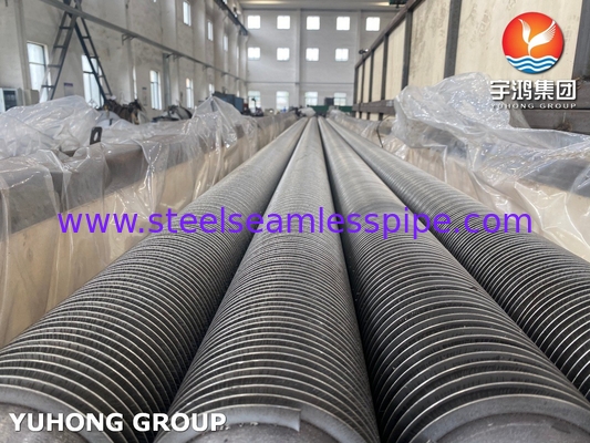 ASTM A312 TP316L لوله فلز فولادی ضد زنگ HFW نوع با SS316l فلز برای اقتصادی