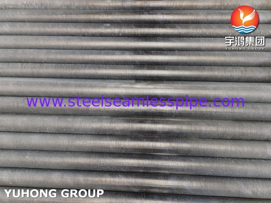 ASTM269 TP304 لوله بی درهم از فولاد ضد زنگ لوله باله های خارج شده برای مبادله گرما