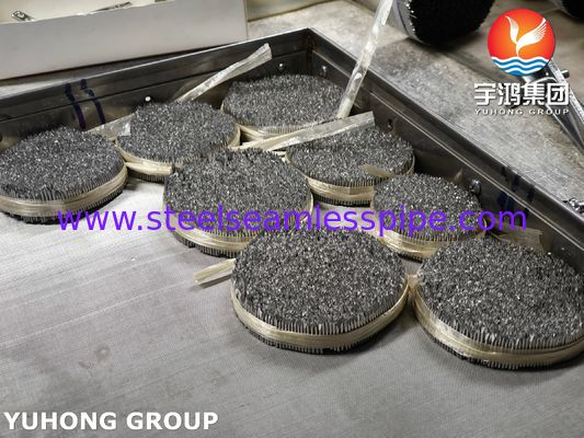 لوله سوزن تزریقی فولاد ضد زنگ ، SUS304 16G سوزن دامپزشکی برای مراقبت از حیوانات