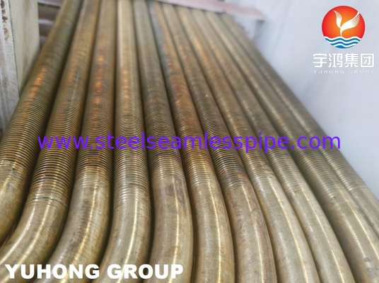 B359 C44300 C44500 آلیاژ مس لوله کم بال U Bend برای مبادلات گرما ASTM B154-16
