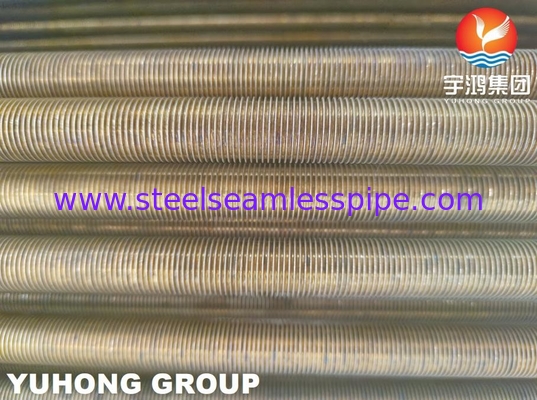 B359 C44300 C44500 آلیاژ مس لوله کم بال U Bend برای مبادلات گرما ASTM B154-16