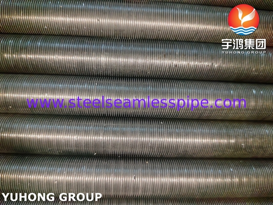 ASTM A333 فولاد آلیاژ کربن بدون دنده Gr 1 لوله پایینی پایین برای پروژه های پالایشگاه