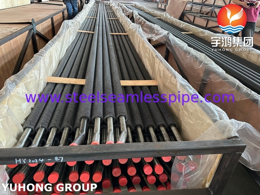 ASTM A213 T11 لوله بدون Sesmless از فلز آلیاژ لوله HFW Fin Serrated برای پالایشگاه