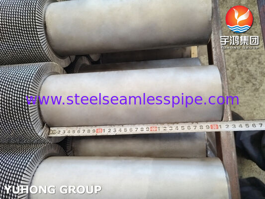 ASTM A312 TP304H لوله های دارای باله های دنده دار برای دیگ و مبادلات گرما
