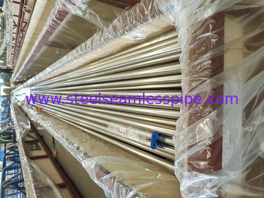 ASME SA213 TP304H لوله دیگ بخاری بدون درز برای ابرگرمکن و دوباره گرمکن