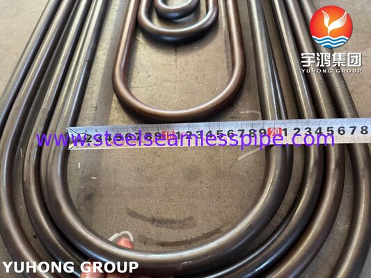 ASME SA213 T11 لوله آلیاژ بدون درز 1.25Cr-0.5Mo کروم مولی برای نیروگاه سوپر هیتر دیگ