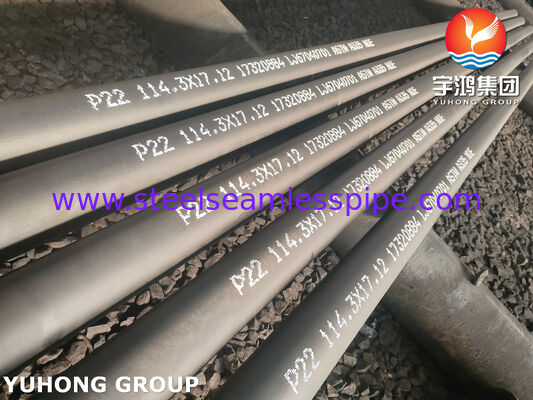 Alloy Steel ASME SA335 P22 Seamless Pipe For Thermal Power Plant