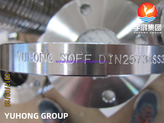 DIN2573 F316L فولاد ضد زنگ فلش لغزنده (پشت صاف) ، استفاده در محیط های با دمای بالا
