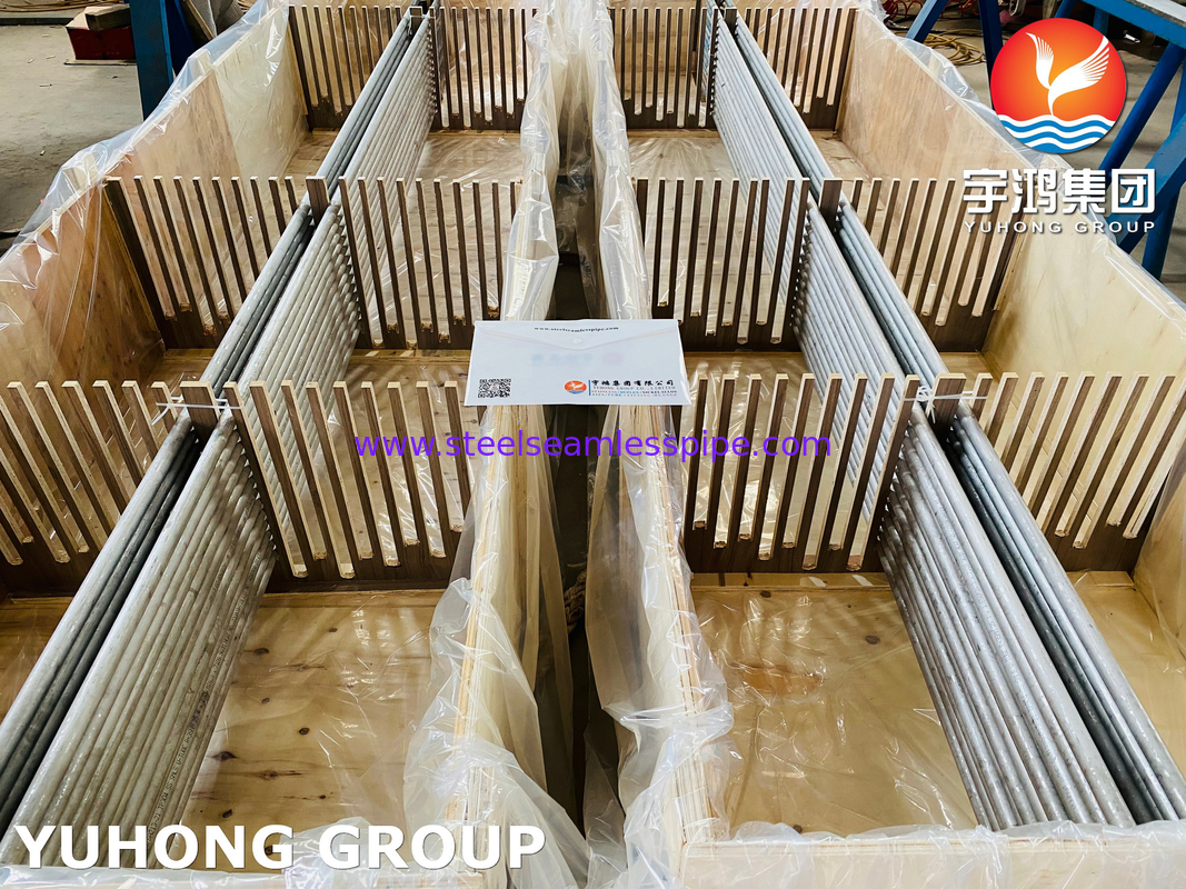 ASTM A213 TP316L 1.4404 SS لوله خم U بدون درز برای مبادله گرما