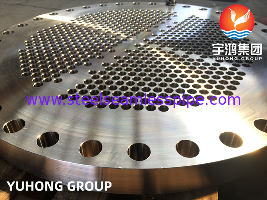 ASTM A182 F316L لوله های فولاد ضد زنگ برای مبادله گرما