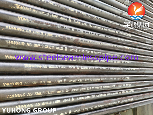 لوله بدون درز فولادی آلیاژی ASME SA213 T22 / 12Cr2Mo، مورد استفاده برای دیگهای بخار و سوپرهیترها در نیروگاه ها
