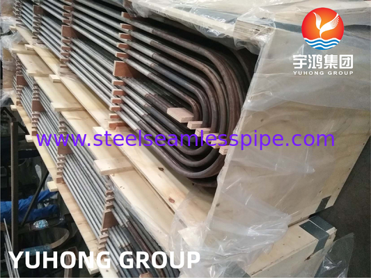 ASTM A213 TP304L لوله خم U بدون درز از فولاد ضد زنگ استنتیک