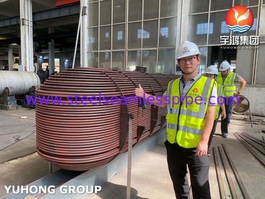 Heat Exchanger Tube Bundle D-E1 A ASME SA213 T11 U Bend Tube With ASME SA-516 GR.70 (N, FGP) Tubesheet ASME U STAMP