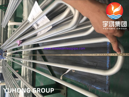 UNS NO6625/Din 2.4856/ASTM B444 Inconel 625 U Bend Tube Process Chemical Equipment NDT موجود